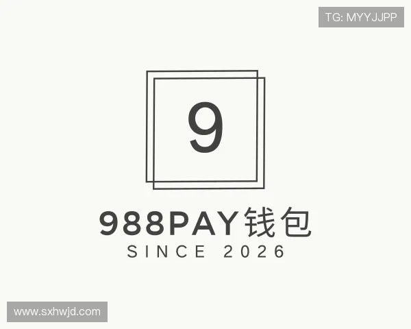 解读988PAY钱包